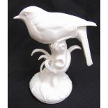 Meissen blanc de chine figurine of a song bird, marks to the base, 15cm (h)