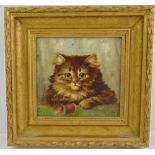A framed portrait of a cat in the style of Louis Wain, dated 1892 and indistinctly signed bottom