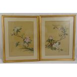 A pair of framed and glazed oriental paintings on silk of flowers, 42 x 29.5cm
