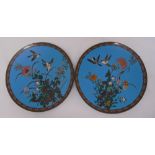 A pair of Chinese cloisonn‚ chargers decorated with birds and flowers, 30cm (dia)