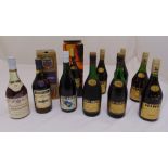 A quantity of Cognac to include Fortnum and Mason 40 year old Napoleon Grand Fine Champagne Cognac ,