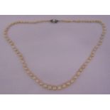 A single strand of Baroque Akoya graduated pearls with a white gold and diamond clasp, 48cm long