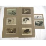 Lucy Kemp-Welch R.B.A seven lithographic prints from the original collection of pictures