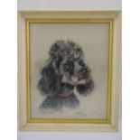 Marjorie Cox framed and glazed charcoal and pastel drawing of a poodle titled Sam 1958, signed