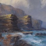 E T Jones, oil on canvas, cliffs and gulls, signed, 16" x 24", framed