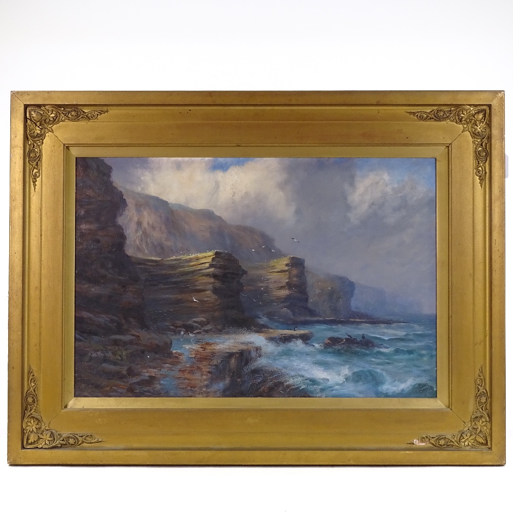 E T Jones, oil on canvas, cliffs and gulls, signed, 16" x 24", framed - Image 2 of 4