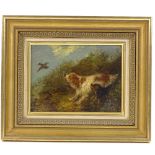 George Armfield, oil on board, 2 Gun dogs and pheasant, signed, 5" x 7", framed