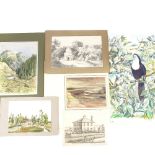 A folder of prints, watercolours and sketches