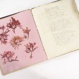 A 19th century album containing drawings and botanical samples