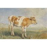 H B Willis, watercolour, calf in landscape, signed and dated 1857, 13.5" x 18.5", framed
