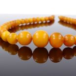 A graduated amber bead necklace, largest bead diameter 12mm, necklace length 41cm, 17.6g