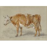 3 19th century watercolours, cattle studies, 1 signed with monogram, framed (3)