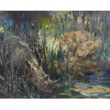 Frederick Thomas Daws (1878 - 1956), oil on canvas, lion and rhino at the watering hole, signed, 16"