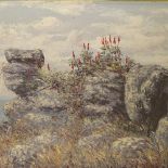 Henry Bredenkamp, oil on board, South African mountain landscape, signed, 18" x 36", framed