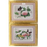 Chinese School, pair of 19th century watercolours on rice paper, insects and flowers, 7" x 9",