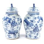 A pair of Chinese blue and white porcelain jars and covers, with painted Dog of Fo designs,