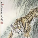 A Chinese scroll painting, tiger study