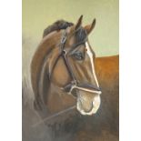 Clive Fredriksson, unframed oil on canvas, horse study, 95cm x 70cm