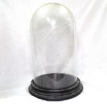 An Antique circular glass dome on stand, height 34.5cm