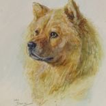 Lucy Dawson, watercolour, portrait of a Chow dog, signed, 13.5" x 9.5", framed Light foxing