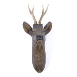 A Black Forest carved and painted wood wall-mounted deer's head, with horn antlers and glass eyes,