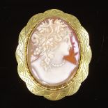 A relief carved cameo shell panel brooch, depicting female profile, in engraved rolled gold frame,