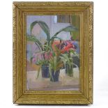 Mid-20th century oil on canvas, still life pot plants, unsigned, 14" x 10", framed Very good