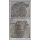 Michael Stott, artist's proof etching, animal studies 2003, signed in pencil, 10" x 5", and Annie