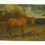 Circle of Alfred Munnings, oil on board, horse and foal, circa 1910, unsigned 5" x 9", unframed Tiny