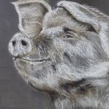 Clive Fredriksson, charcoal and chalk, study of a pig, 19" x 19", framed