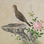 19th century Chinese School, watercolour, bird and flower, 8" x 9", framed Paper discolouration,