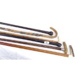 6 various horn and ivory-handled walking sticks