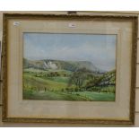 Joan Morgan, watercolour, South Downs near Eastbourne, 28cm x 37cm, gilt-frame