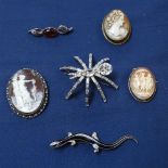 3 relief carved cameo brooches, modern silver and amber set brooch, a lizard design brooch, and a