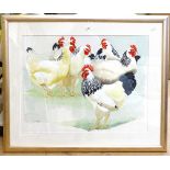 Clive Fredriksson, watercolour study of poultry, 53cm x 69cm