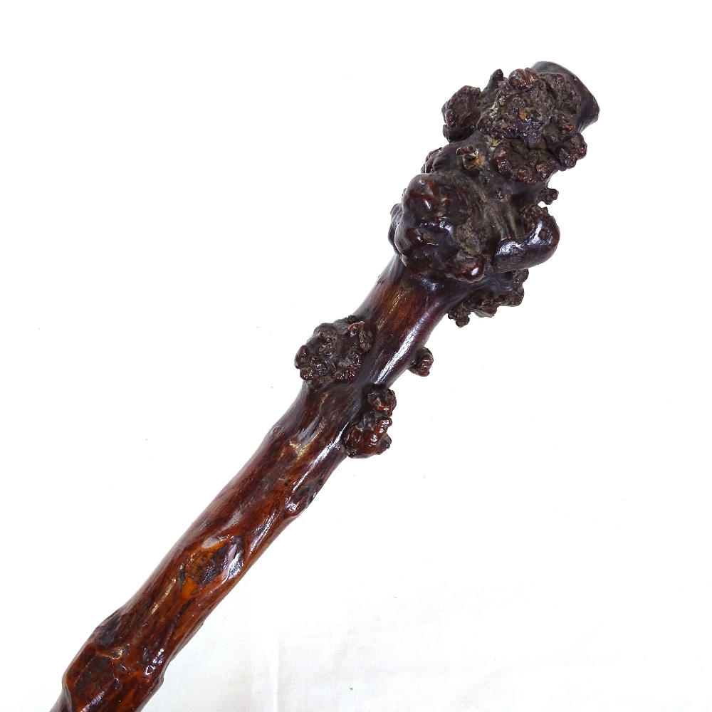 A carved and stained rootwood shillelagh club, length 58cm