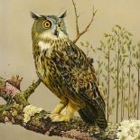 R Kenyon, oil on canvas, owl on a branch, 1991, 20" x 16", framed Very good condition but would