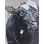 Clive Fredriksson, oil on canvas, cow, 32" x 24", unframed Very good condition