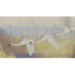A W Seaby, colour woodcut print, flying swans, signed in pencil, image 8.5" x 14.5", framed Very