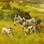 Modern oil on panel, donkeys and terrier, indistinctly signed, 12" x 16", framed Very good condition