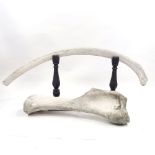 A mammoth femur, length 75cm, and a mammoth rib bone, length 1.2m