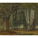F R Lee, watercolour, Burnham Beeches, 1851, signed, 12.5" x 19", framed Very good condition,