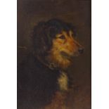 19th century oil on canvas, portrait of a dog, 16" x 12", framed Several patch repairs with minor