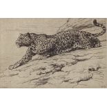 Herbert Dicksee (1862 - 1942), etching, Leopard on Hillside, plate size 6" x 9", pencil signed,