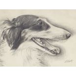 Andrew Coates, pencil drawing, Borzoi dog, signed, 10.5" x 14.5", framed Good condition