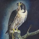 R Kenyon, oil on canvas, bird of prey, 1981, signed, 20" x 16", framed Very good condition but would