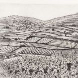 Frances Kelly (American 1927 - 2012), etching, the vineyard, 9.5" x 11.5", unframed Very good