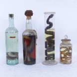 TAXIDERMY - 4 snakes in glass preservation jars, large jar height 31cm (4)