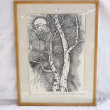 Lavinia Leamont, monochrome etching, study of silver birches, 40cm x 28cm, framed