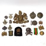 Various Army and military cap and helmet badges, including unmarked white metal skull and